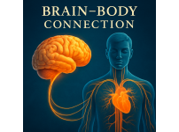 뇌가 건강해야 몸이 건강하다 – 우리가 몰랐던 놀라운 연결
