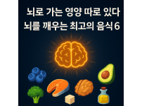 뇌로 가는 영양 따로 있다...뇌를 깨우는 최고의 음식 6